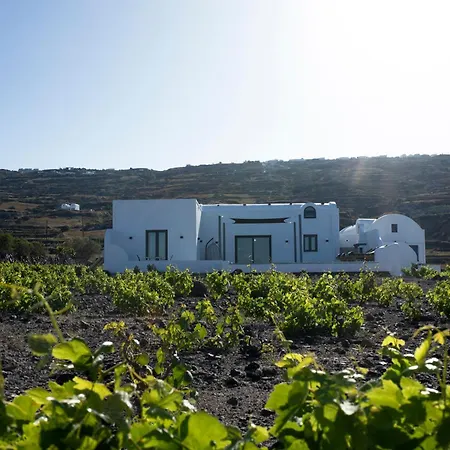 Vinebranch Villa Vourvoulos Exterior photo