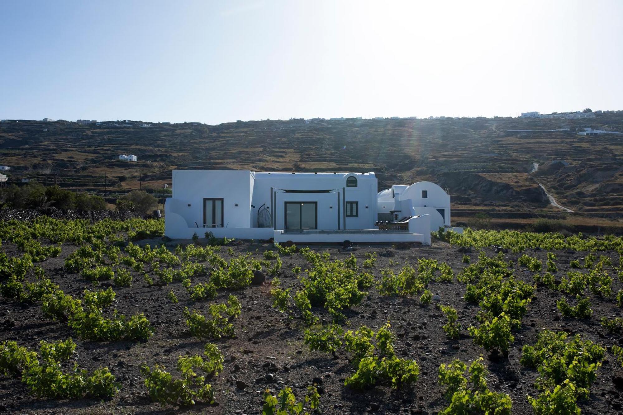 Vinebranch Villa *