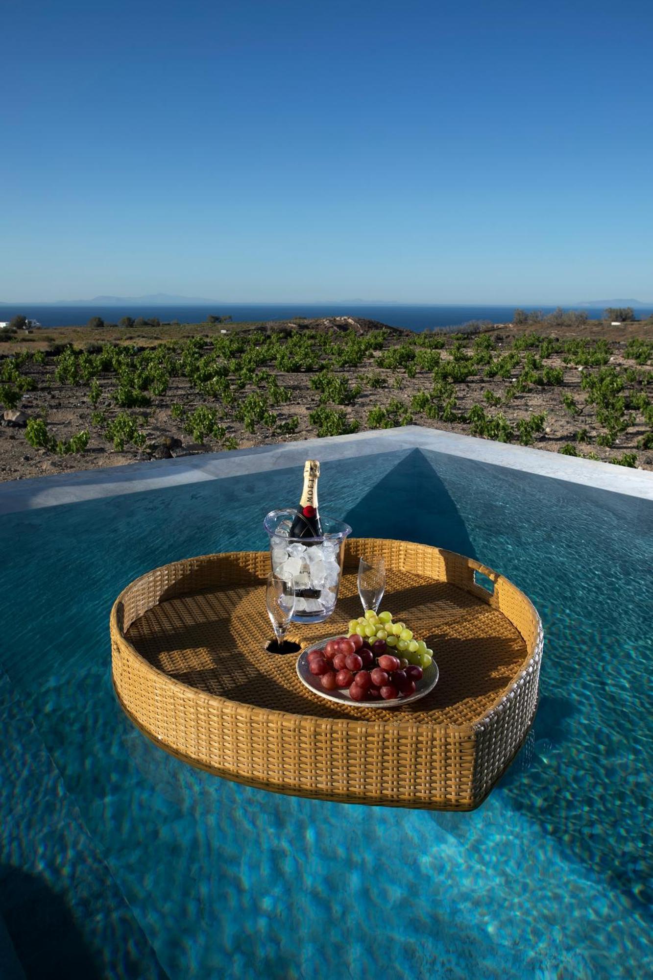 Vinebranch Villa *