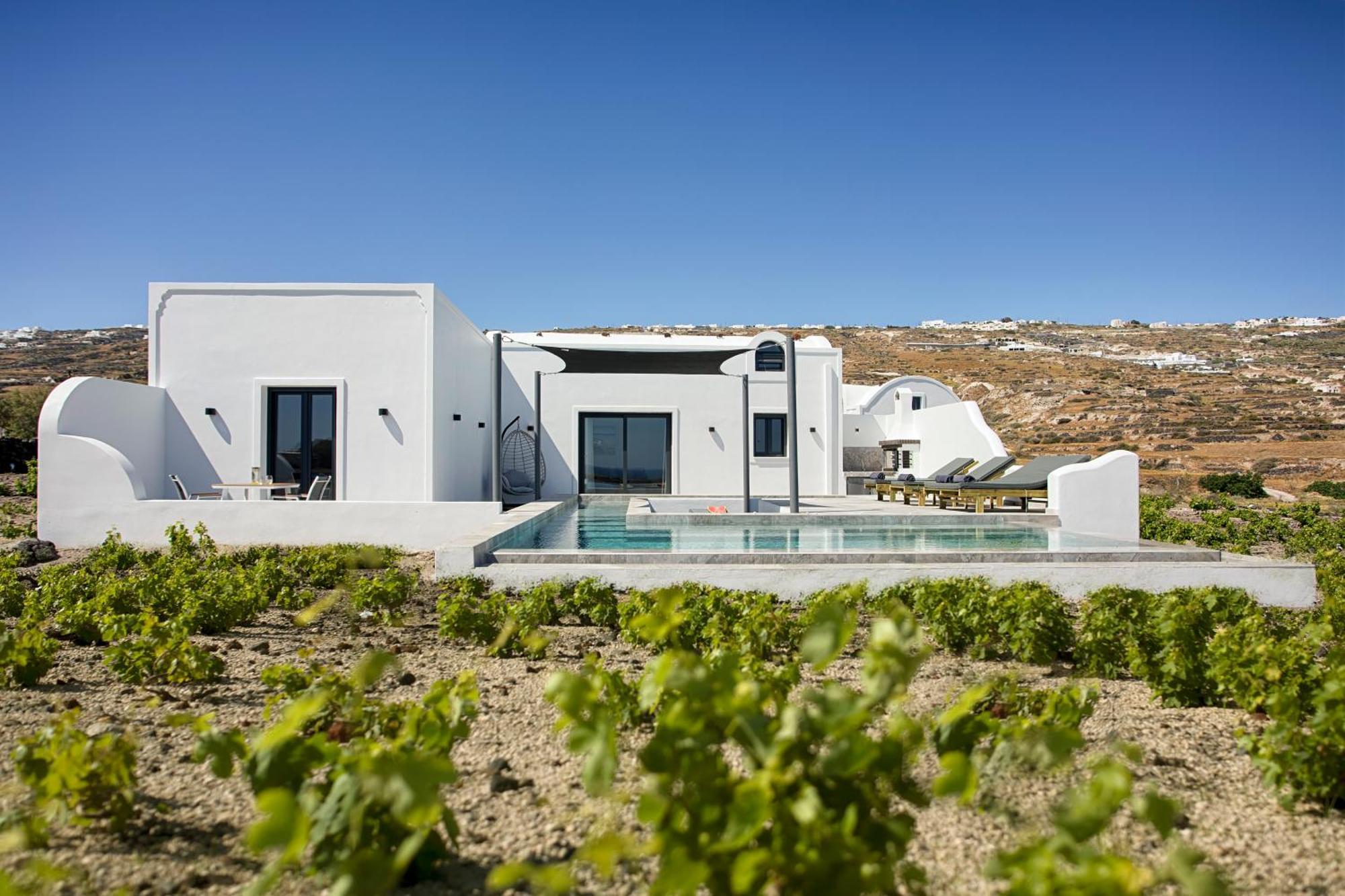 Vinebranch * Vourvoulos