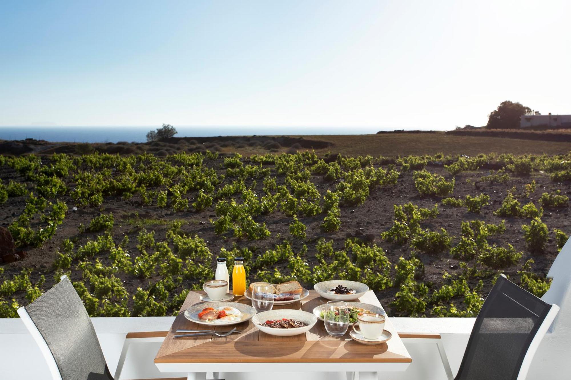 Vinebranch Villa *