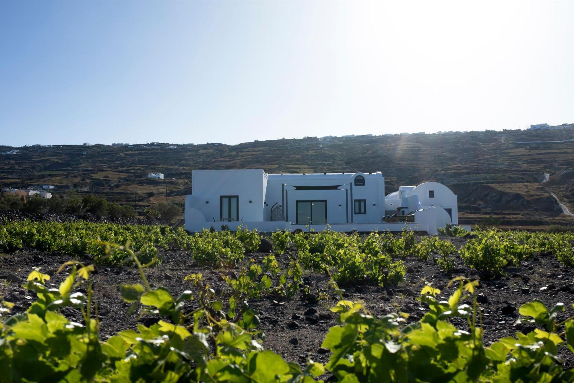 Vinebranch * Vourvoulos